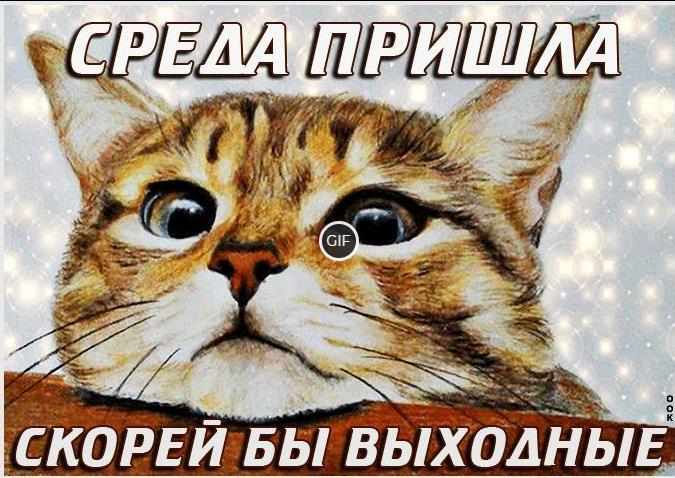 Анимированные картинки доброй среды