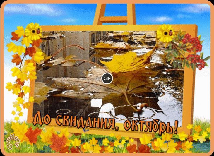 Октябрь до свидания картинка лирическая