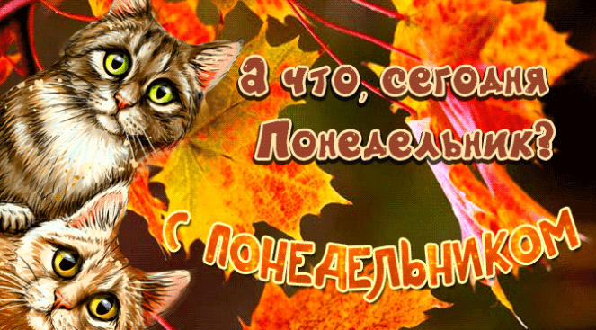 Гифки хорошего Осеннего Понедельника (30 gif картинок)