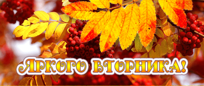 Гифки хорошего и доброго Осеннего Вторника (30 gif картинок)