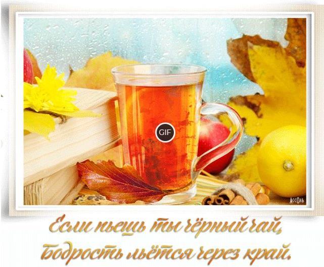 С добрым ноябрьским утром картинки с пожеланиями
