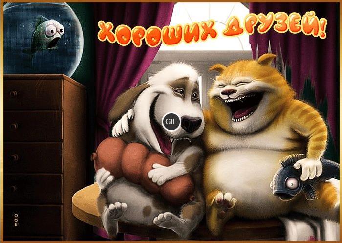 Добрые гифки для друзей