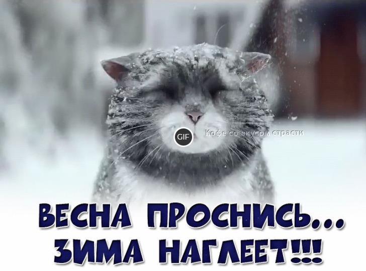Гифка Весна проснись... Зима наглеет...