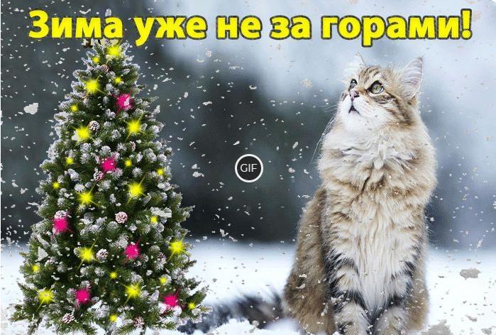 Гифки скоро Зима