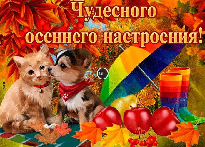 Открытки для хорошего осеннего настроения