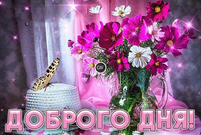 Доброго дня анимация