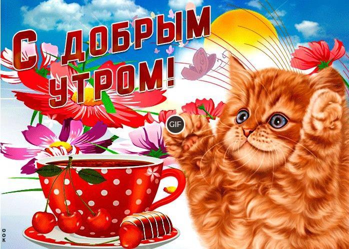 Гифки с добрым утром прикольные
