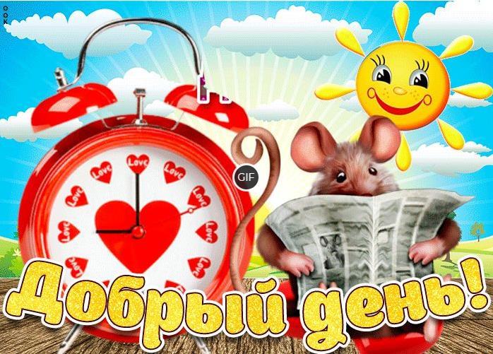 Гифки добрый день прикольные смешные