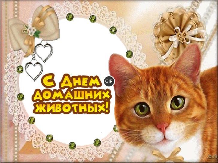 30 ноября день домашних животных картинки