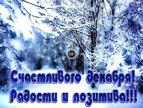 Гифки счастливого декабря