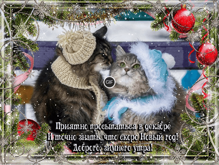 Открытка с добрым утром декабря
