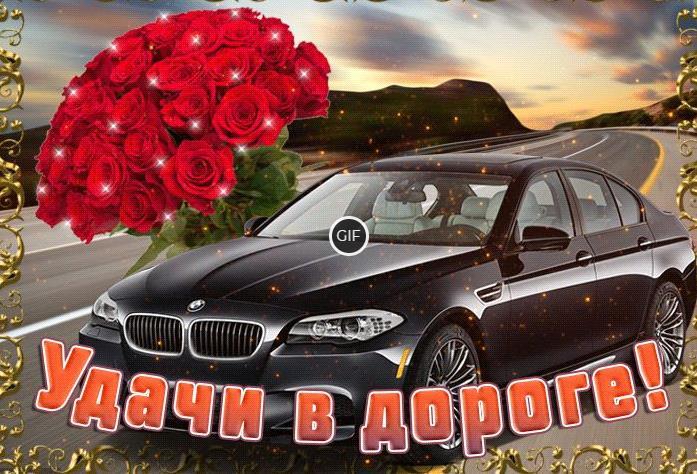 Прикольные гифки с пожеланиями в дорогу