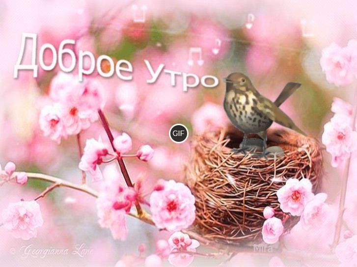 Гифки с добрым Мартовским утром