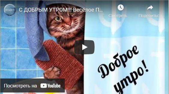 Красивые видео открытки с добрым утром бесплатно