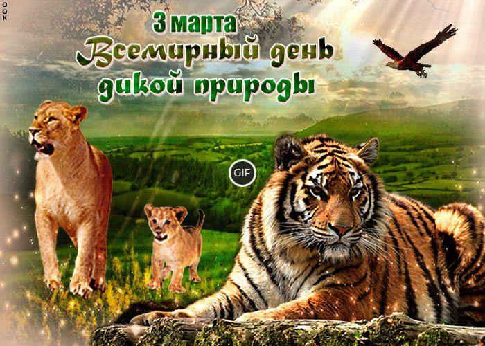 Гифки Всемирный день дикой природы