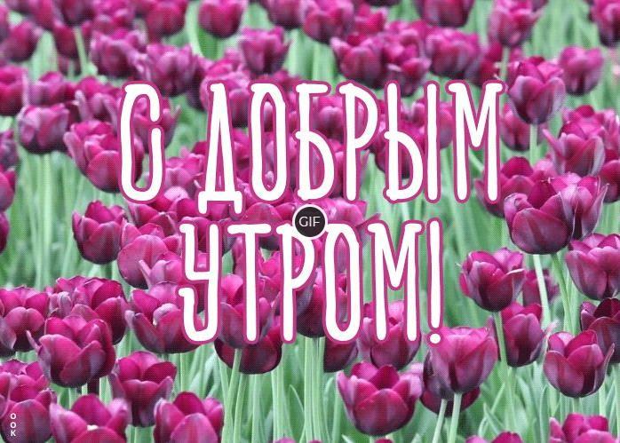 С добрым утром картинки красивые