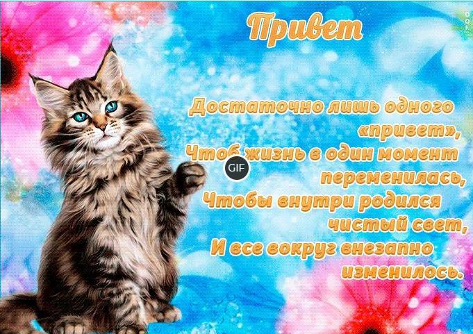 Красивые открытки привет