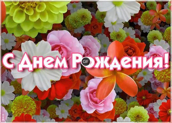 Поздравления с днём рождения женщине картинки открытки бесплатно