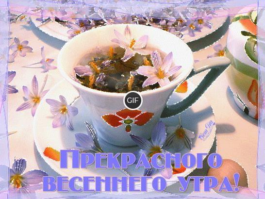 Гифки с пожеланием доброго Апрельского утра (25 gif картинок)