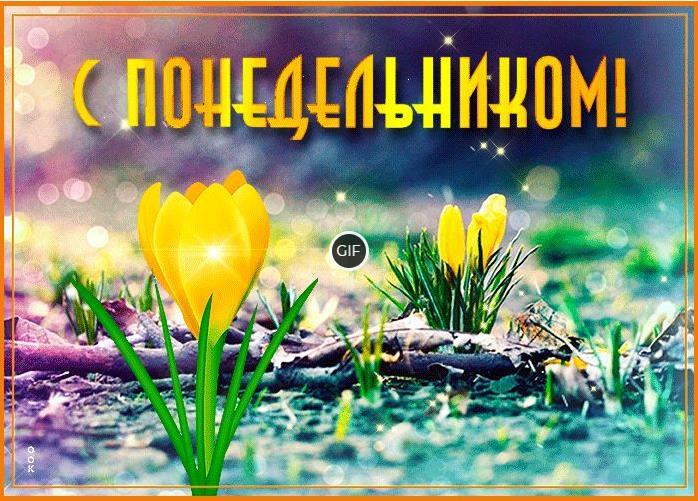 Пожелания доброго весеннего Понедельника