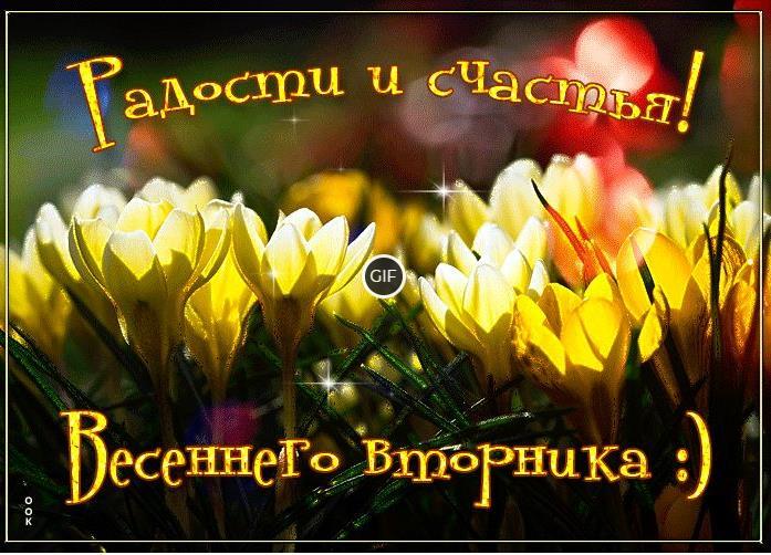 Гифки с пожеланиями доброго Весеннего Вторника (30 gif картинок)