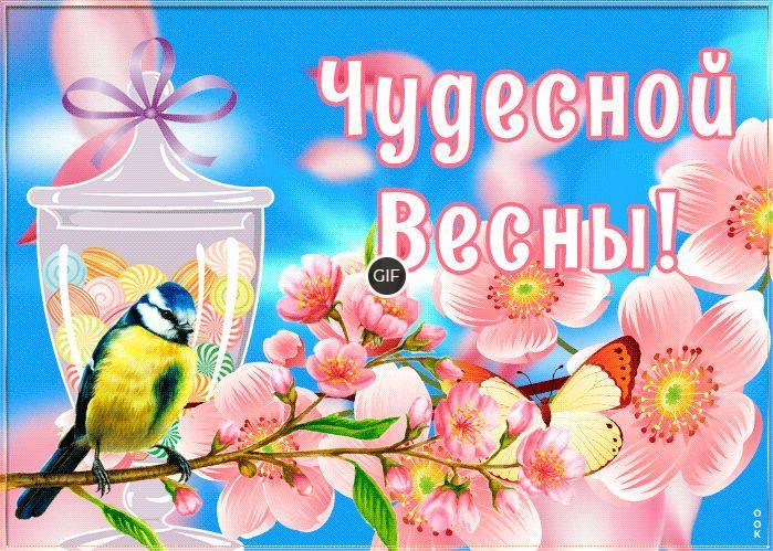 Красивые Весенние картинки и открытки