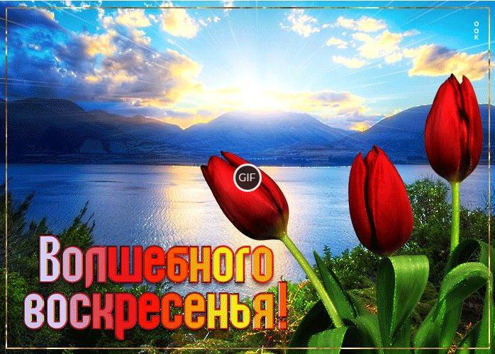 Гифки с пожеланием доброго Воскресного утра (40 gif картинок)