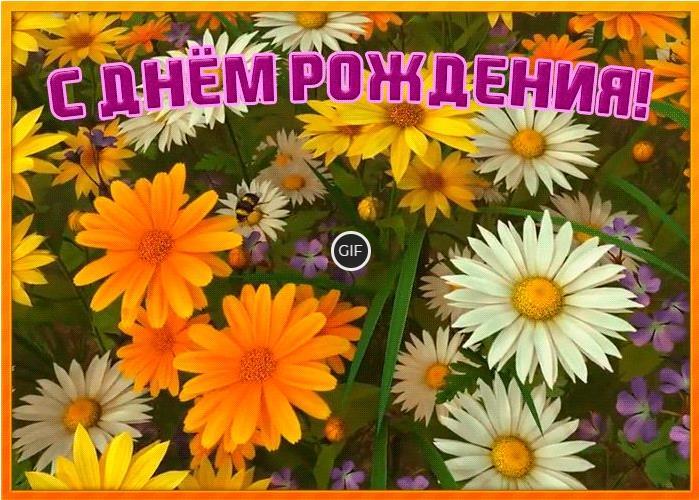 Открытки с днём рождения женщине для ватсапа