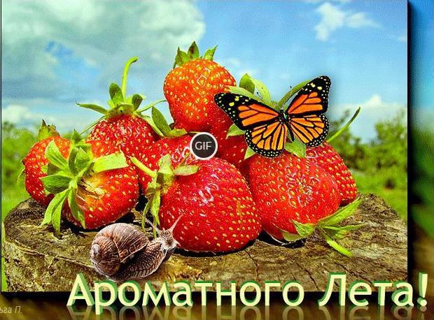 Пожелания доброго Июльского дня