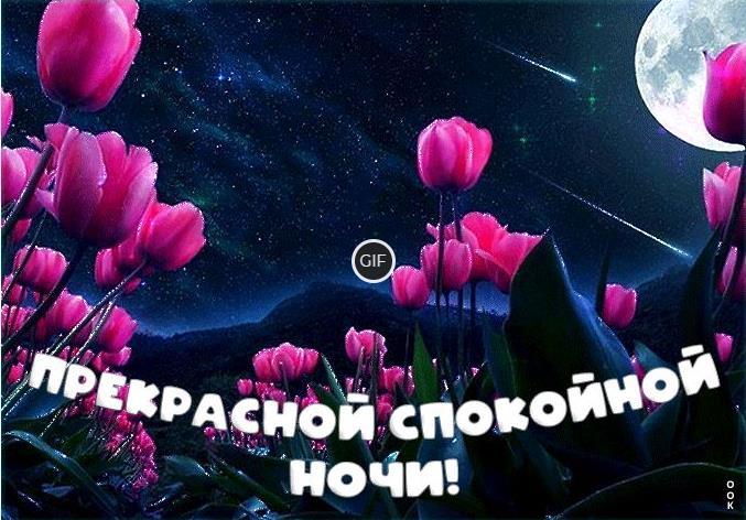 Пожелания спокойной Летней ночи