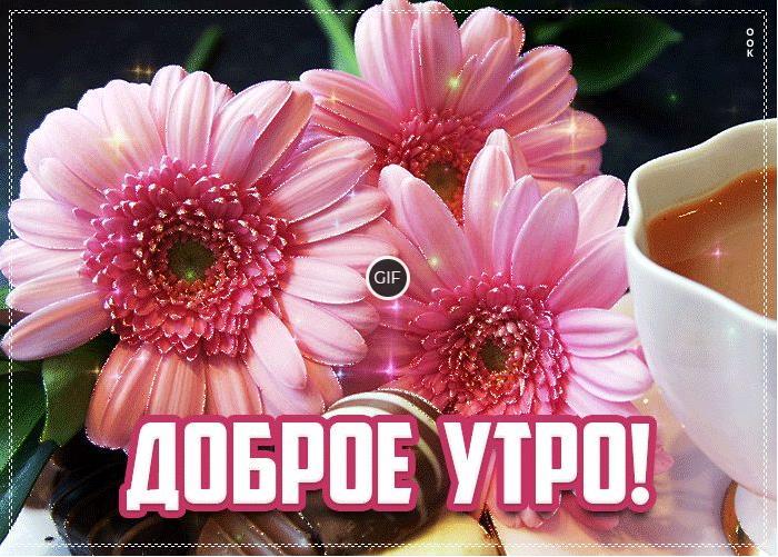 Картинки доброе утро с надписью