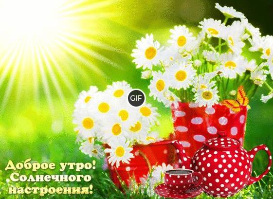 Гифки с добрым Июньским утром