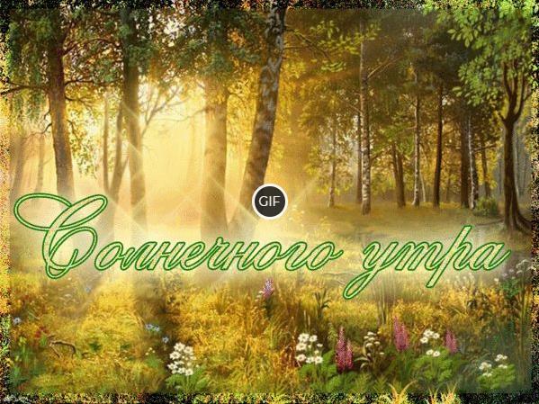 Гифки Доброго летнего утра и хорошего дня