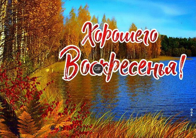 Гифки хорошего осеннего воскресенья