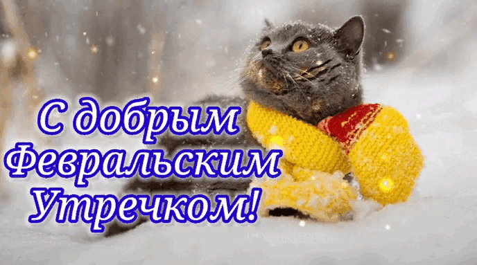 Гифки Доброго февральского утра и отличного дня (42 gif картинки)