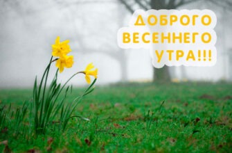 Красивые картинки С добрым весенним утром