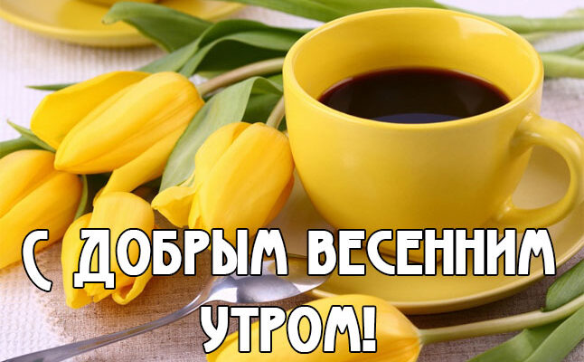 Оригинальные открытки с добрым весенним утром (30 фото)