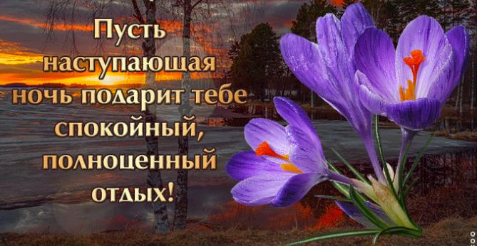 Гифки спокойной Весенней ночи 2023