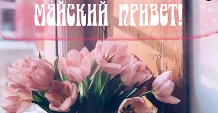 Красивые картинки доброго Майского дня и отличного настроения 2023 (50 фото)