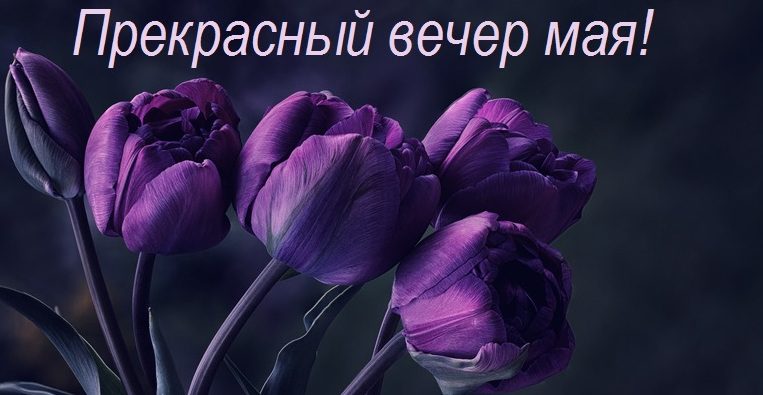 Картинки доброго Майского Вечера 2023 (40 фото)