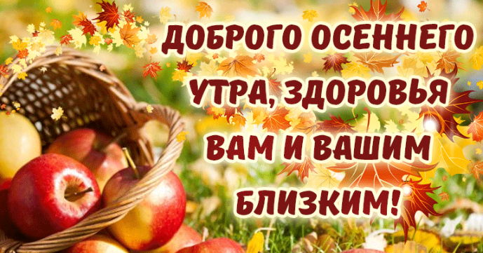 Гифки с добрым осенним утром и отличного дня (80 gif картинок)