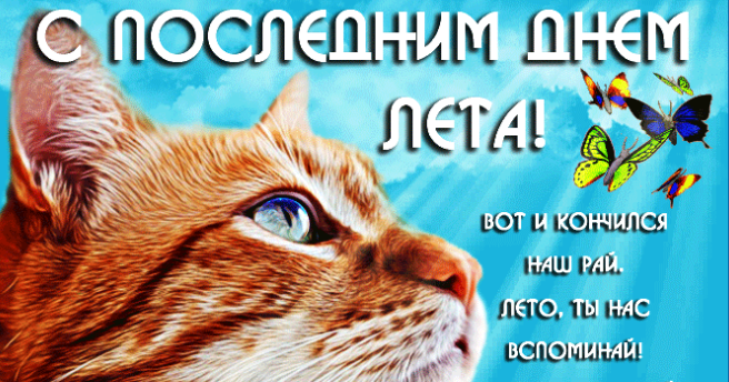 Гифки с последним днём Лета 31 Августа 2023 (50 gif картинок)