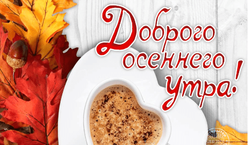 Красивые картинки с добрым Осенним утром (333 фото)