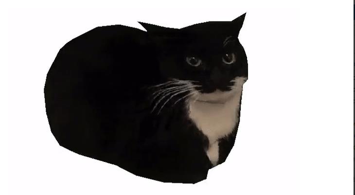 Гифки 3D-кот Максвелл (10 картинок Maxwell Cat gif)