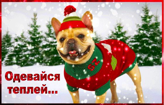 Гифки одевайся теплее (20 gif картинок)