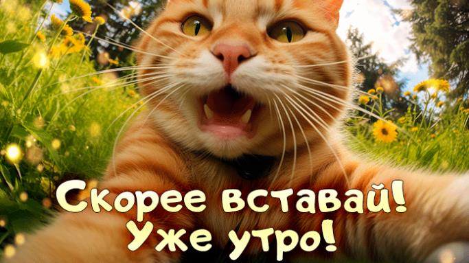 Новые необычные гифки с добрым утром 2024 (40 gif картинок)