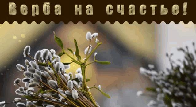 Гифки с веточкой Вербы (15 gif картинок)