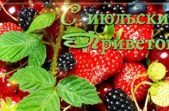 Гифки Июльский "Привет!" (20 gif картинок)
