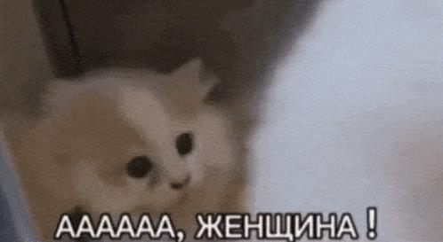 Смешные гифки "Аааа, Я Женщина!"