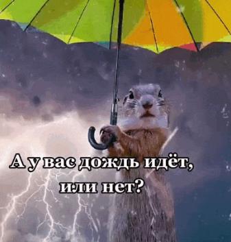 Гифки "А чё? У вас там дождь идёт или не идёт? у нас идёт! сильный!"